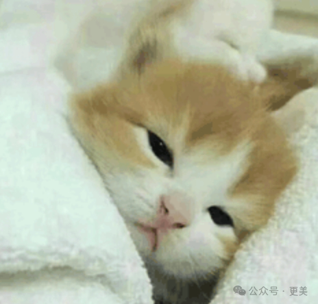 热玛吉，单级真皮层靶向射频，可能对于肉脸（包括填充过脂肪的）稍稍有些不够用。