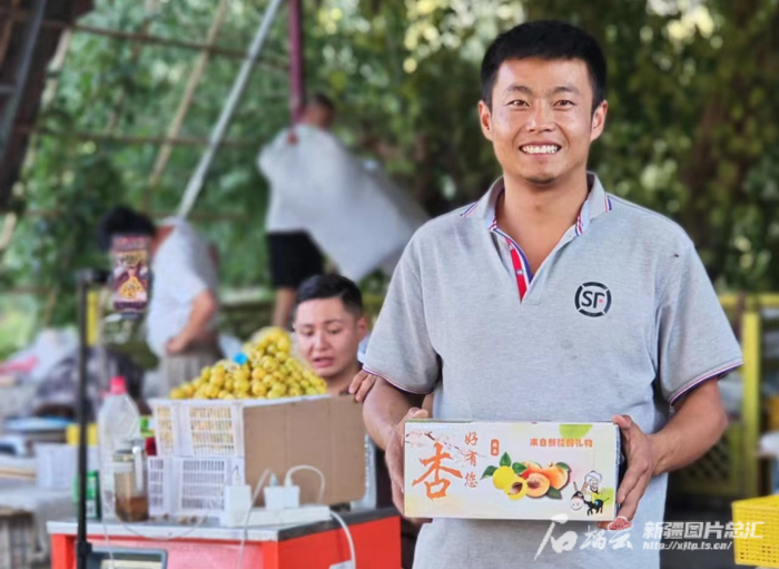 轮台县的顺丰快递小哥正在搬运小白杏。王冲摄