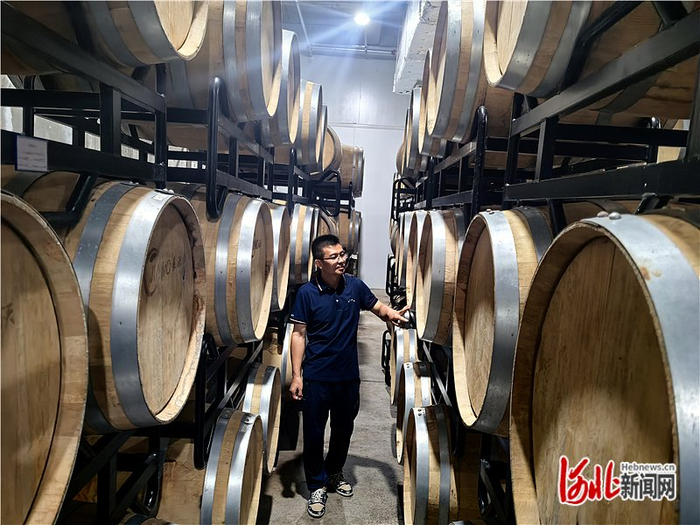 7月18日，承德嘉沃生态农业科技有限公司经理李伟波查看用来窖藏国光苹果酒的橡木桶有无渗漏。本组图片由本报记者陈宝云摄