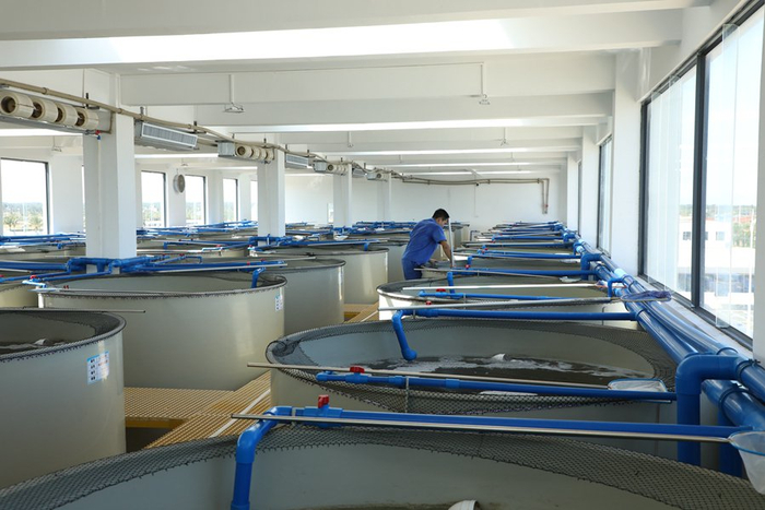 资料图：现代化的育种车间。记者 郑光平 摄