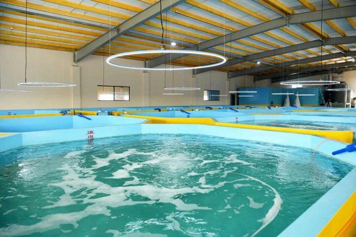 资料图：养殖车间。记者 吴岳文 摄