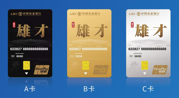 “雄才卡”A卡、B卡、C卡（样例）。雄安新区党群工作部供图