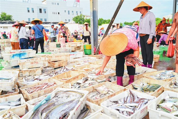 渔民正在分类摆放海鲜。三亚日报记者 陈聪聪 实习生 江文滔 摄