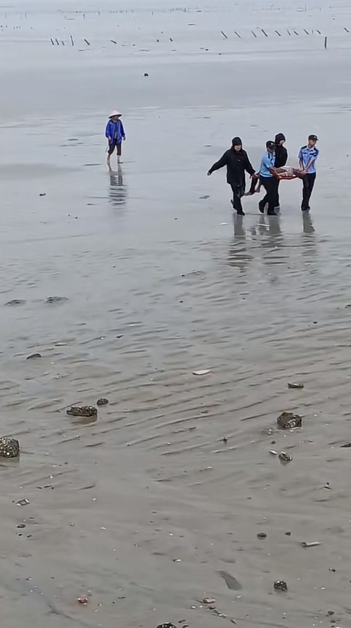 疑似民警抬走被雷击中的伤者。图源：社交平台截图