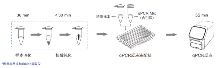 图1. 宿主残留DNA提取及检测操作流程示意图