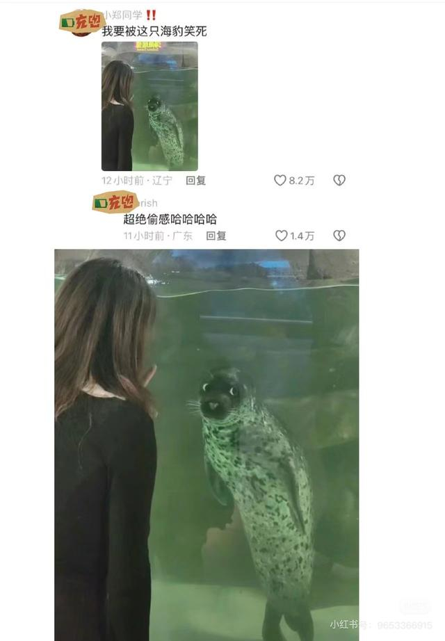 　　“偷感”很重的动物。 图源网络