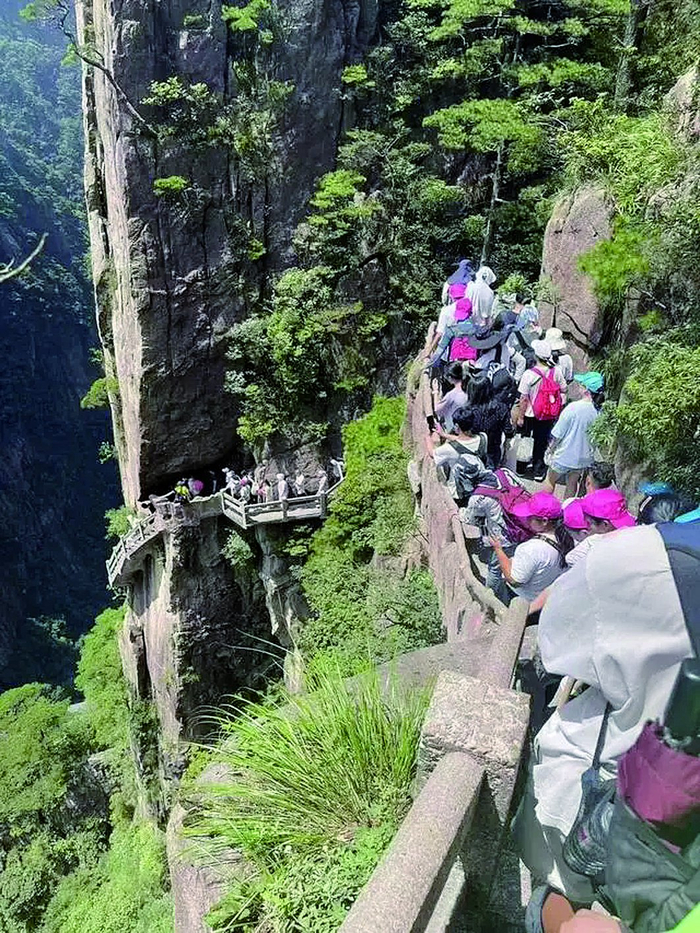     陈先生去黄山旅游遭遇了“人从众” 受访者供图