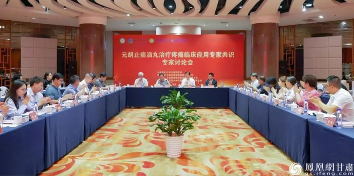 《元胡止痛滴丸治疗疼痛临床应用专家共识》第一次专家讨论会召开