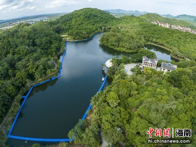 图为小洋侨咖啡共享农庄航拍。骆云飞摄