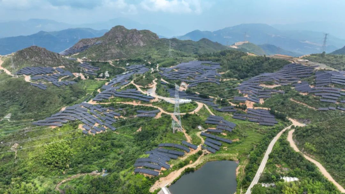 位于平阳的集中式地面光伏发电项目。林鑫摄