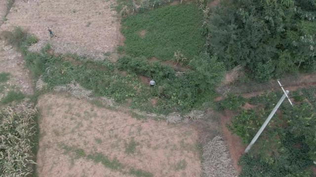 新坟址大约有50多座坟墓，蒋治超等人无法确定爷爷的坟是哪一座。图据四川广播电视台