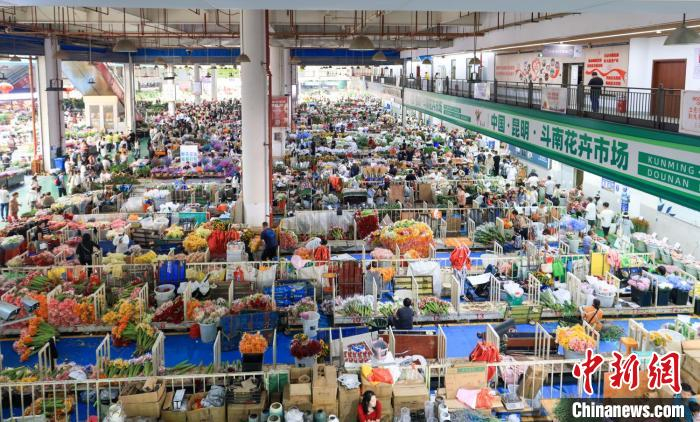 图为8月20日，位于云南昆明的斗南花卉市场，来自各地的花商、花农、游客等熙熙攘攘、遍布市场。中新社记者 贾天勇 摄