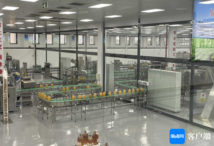 海南澳斯卡国际粮油有限公司生产线。澳斯卡粮油供图