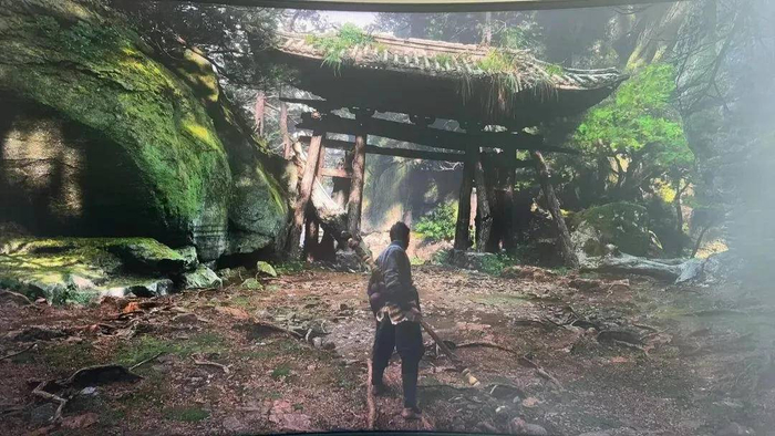 来源：丽水市文旅局