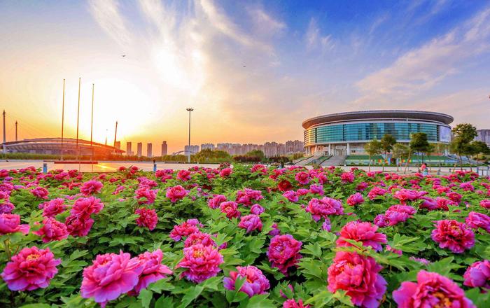 洛阳市城市风貌。 大河网资料图