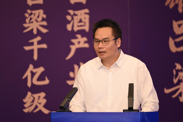 （图为国务院发展研究中心企业研究所副所长项安波）