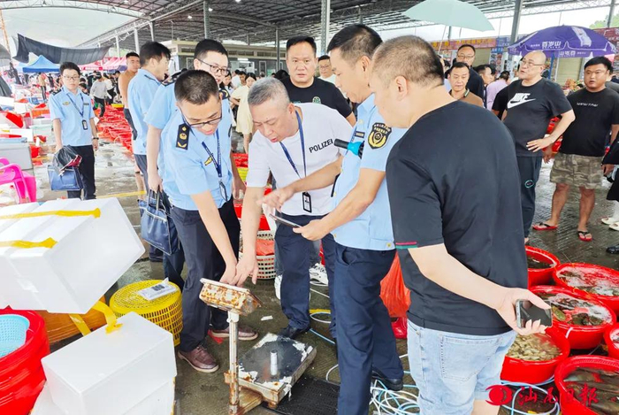执法人员对海鲜市场进行专项检查。