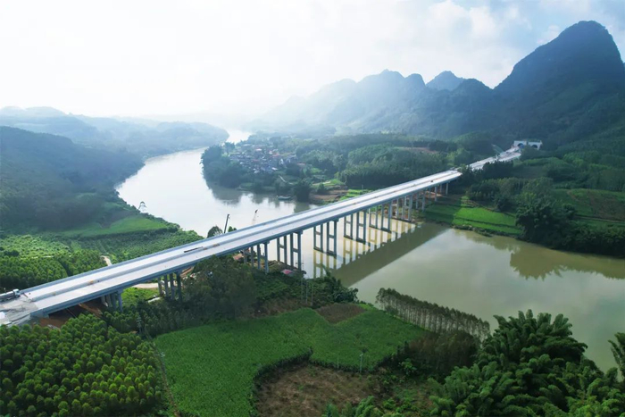 龙江大桥。姚忠俊 摄