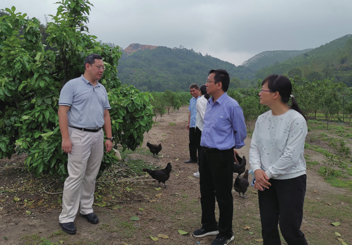 李震（左一）与农技人员和果农交流生产经验