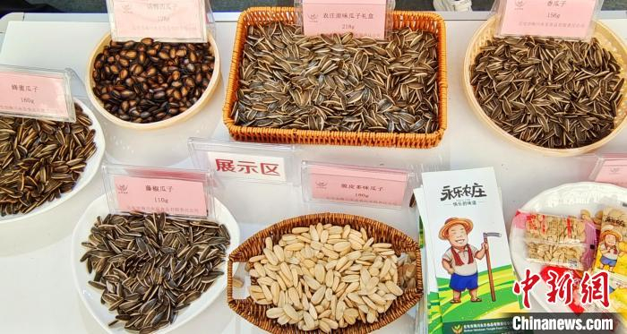以食葵为主的瓜子类作物种植在国内分布广泛。史玉江 摄