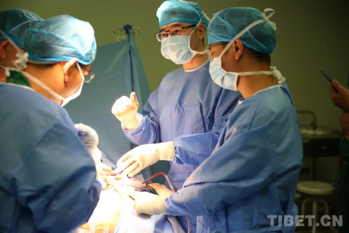 图为广东援藏医疗队员带教培养林芝当地医生（资料图）