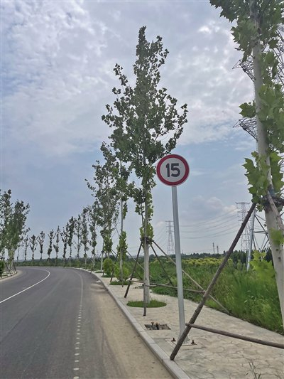 8月11日，河北保定一少年在随团骑行时摔倒在对向车道，与机动车发生碰撞，送医途中去世。事发路段设有限速15公里的提示牌。