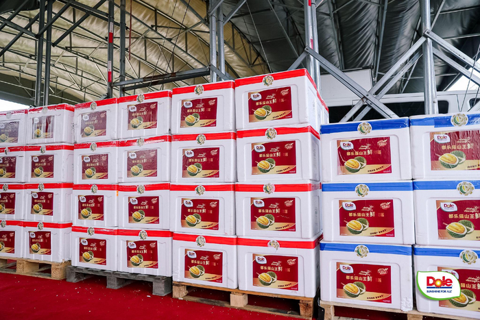 都乐猫山王鲜榴莲采自马来西亚彭亨州等核心产区。都乐供图