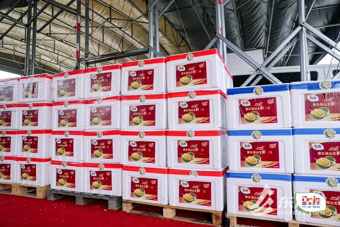 首批都乐猫山王鲜榴莲抵达上海辉展市场