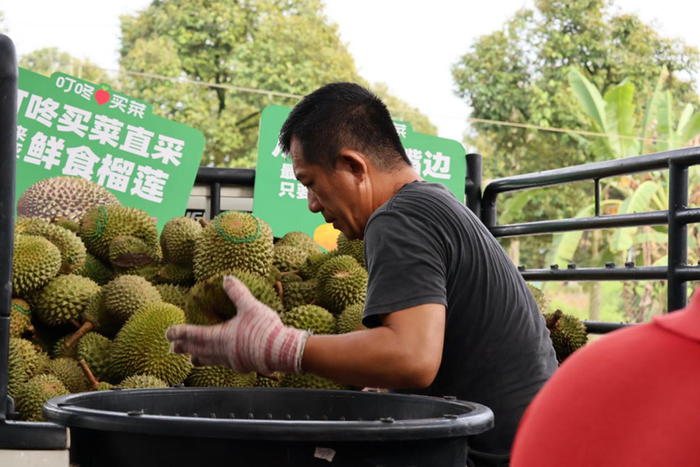 叮咚打通直采链路。叮咚买菜供图