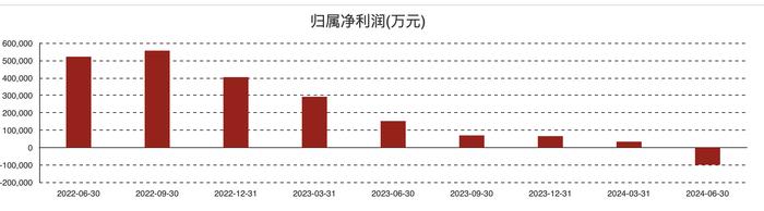 （大全能源各季度归母净利润情况）