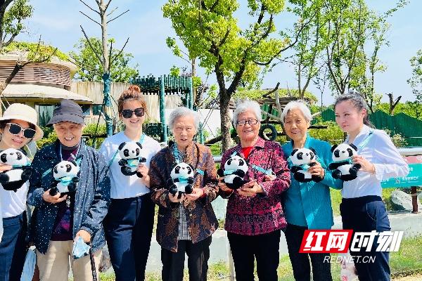 熊猫拟人化 正太图片