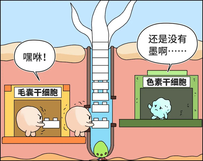 图片来源：丁香设计团队