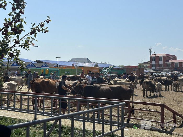 图片来源：每经记者 王晶 摄