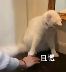 图片来源：网络