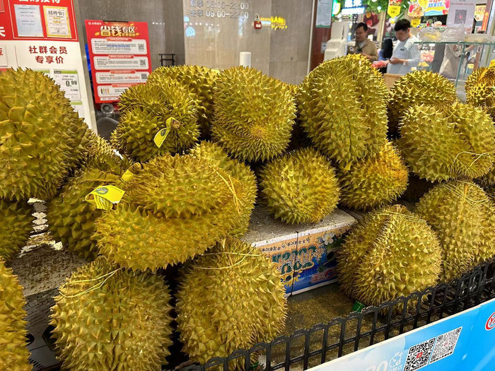 （时代周报王晨婷/摄）