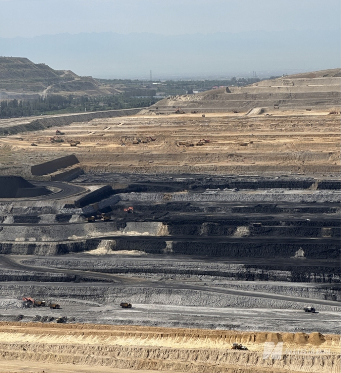 图片来源：每经记者 王晶 摄