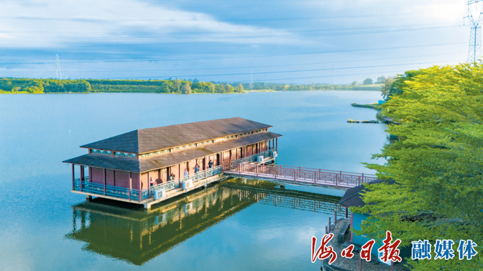 市民游客在琼山区红旗镇泮边休闲农庄游玩。海口日报融媒体记者 苏弼坤 摄