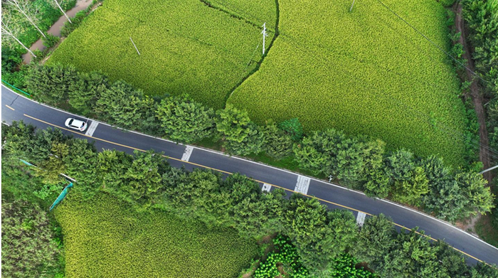 铭传乡省级“品质示范路”——聚高路   铭传乡人民政府供图  