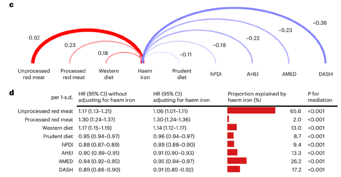 血红素铁在关系中起到的作用比例