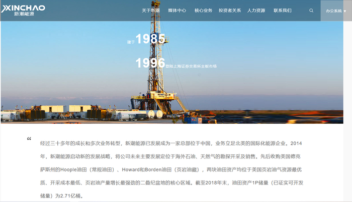 ST新潮拥有海外油气资源 公司官网截图