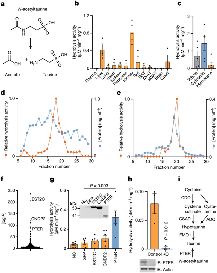 图片来自Nature, 2024, doi:10.1038/s41586-024-07801-6