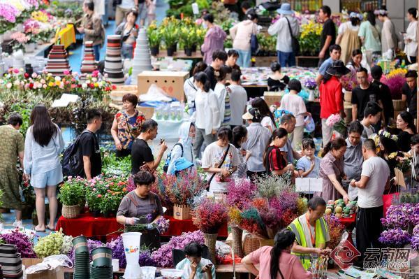 贵阳花溪最大花卉市场图片