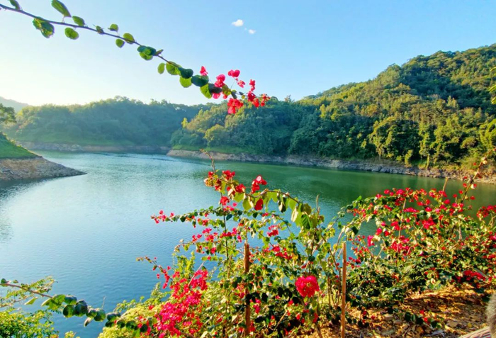 资料图：谭文强 摄