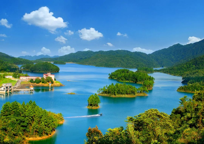 资料图：龙敏 摄