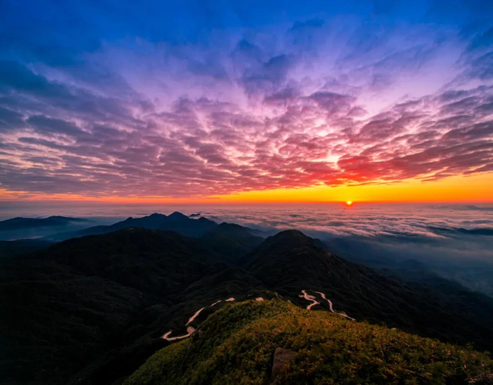 资料图：张竞 摄