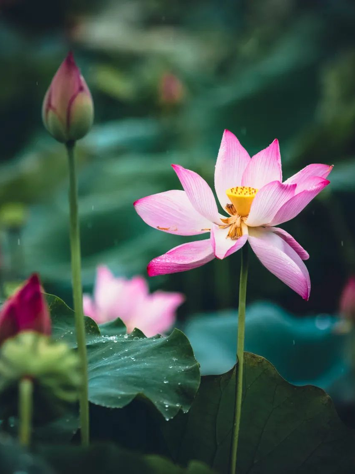 资料图：梁文栋 摄