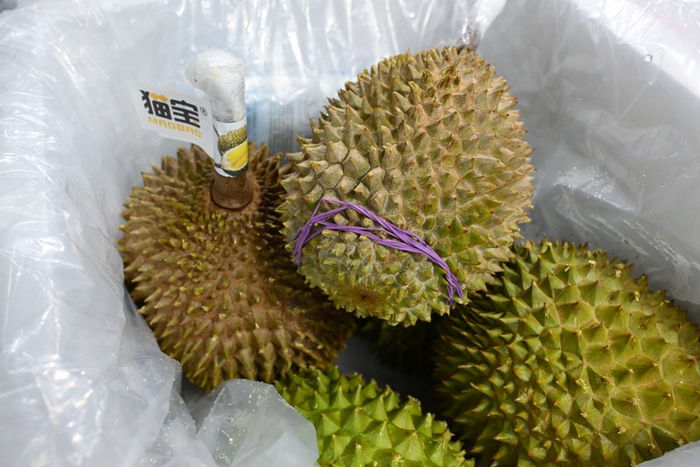 上海口岸迎来首批进口猫山王鲜食榴莲