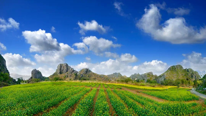 资料图：龙敏 摄