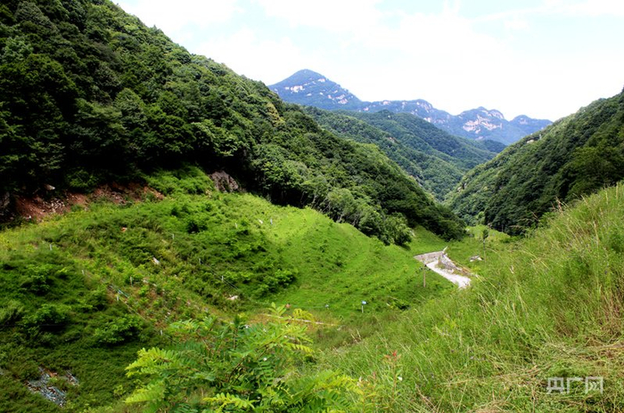 “河南之巅”小秦岭主峰老鸦岔垴矿山治理后的景象（受访者供图）