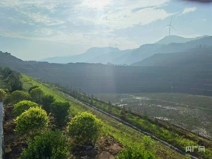 高桥治理区，从2023年12月开始治理，边坡上种有紫穗槐、黑麦草等，主要起到绿化、稳定边坡作用（央广网记者  张丽娜  摄）